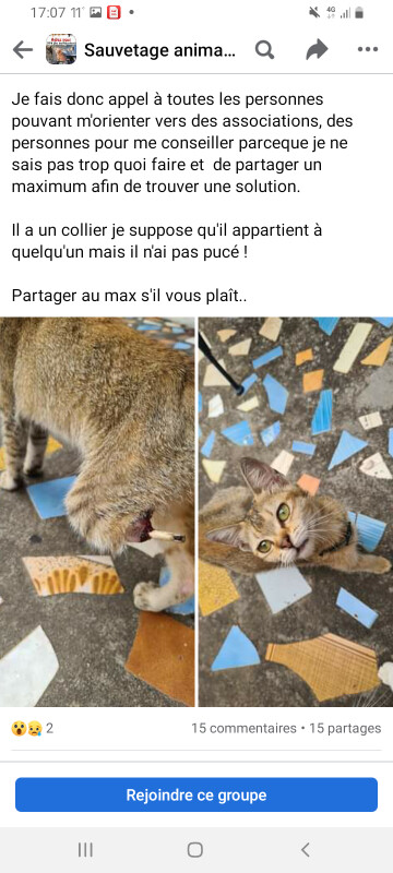 Image justificative de la cagnotte