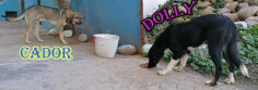 Fundraising proof image