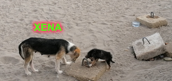 Fundraising proof image