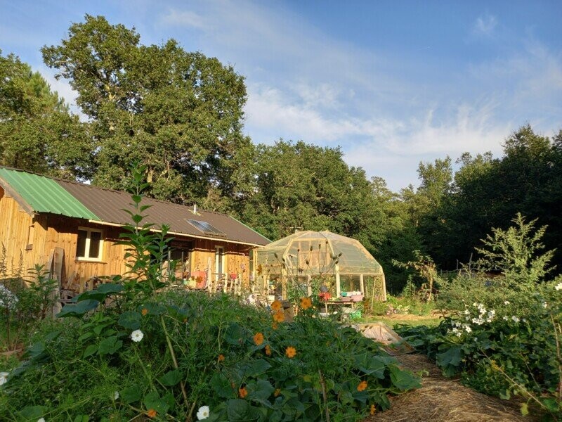 Aide aux frais d'avocat pour le jardin des bibous