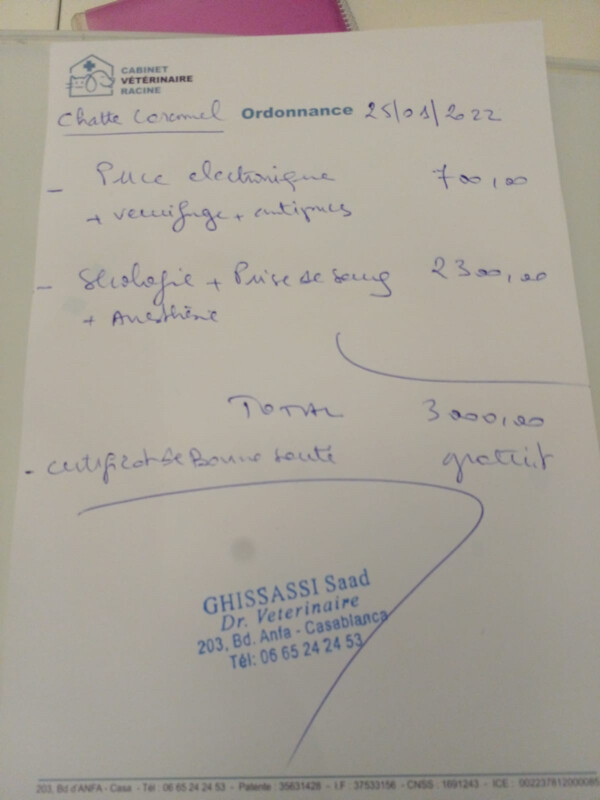 Image justificative de la cagnotte