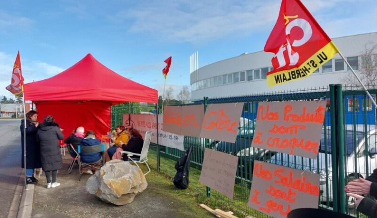 Greve Tipiak Traiteur Patissier