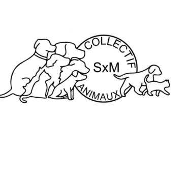Animaux SXM