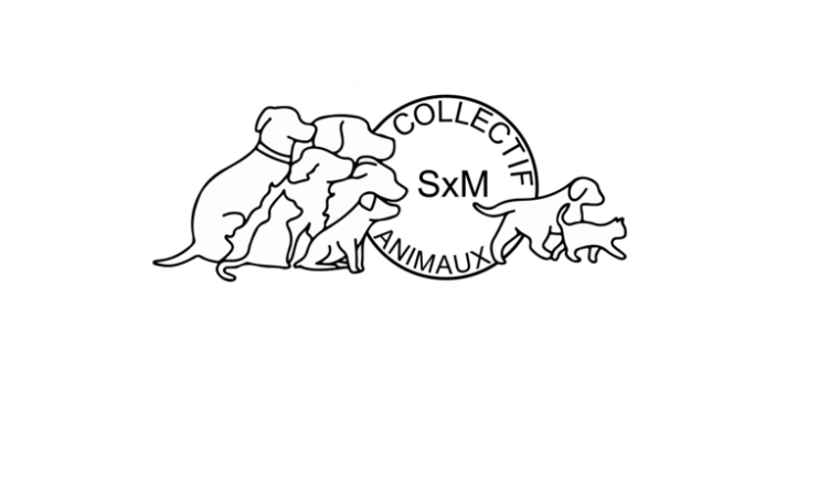 Animaux SXM