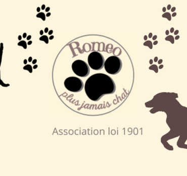 Un coup d'patte pour les animaux d'ukraine