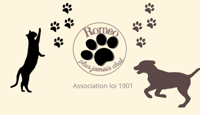 Un coup d'patte pour les animaux d'ukraine