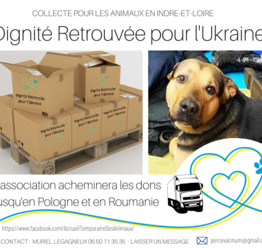 Aidez les animaux ukrainiens