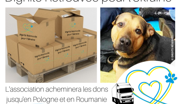 Aidez les animaux ukrainiens