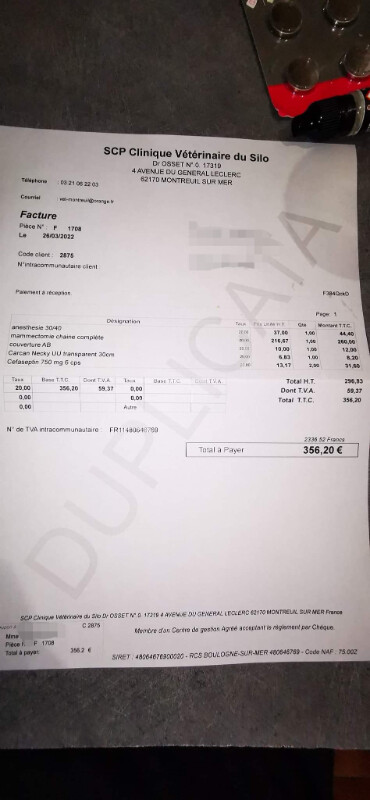 Fundraising proof image