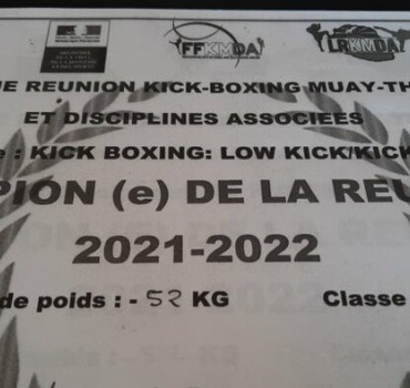 Championnat de France de boxe