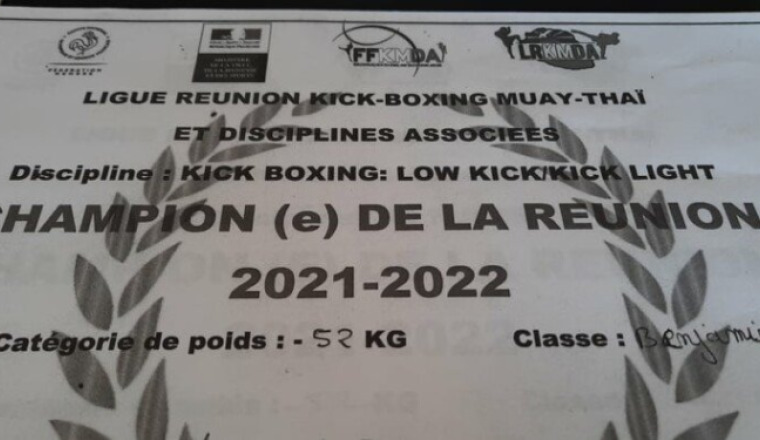 Championnat de France de boxe