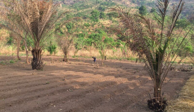 Ecological Farm Wekele | Steven Collet | CotizUp