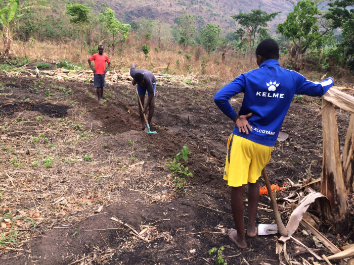 Ecological Farm Wekele | Steven Collet | CotizUp