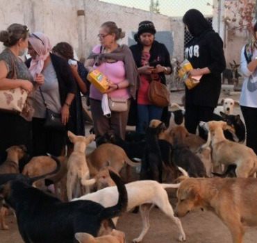 Aide alimentaire pour le refuge Arrahma 🥰