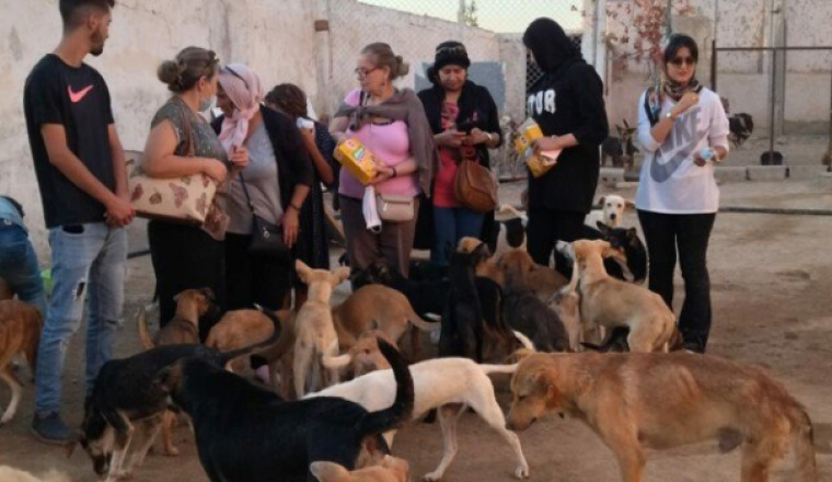 Aide alimentaire pour le refuge Arrahma 🥰