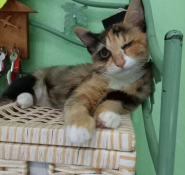 Sally petite borgne