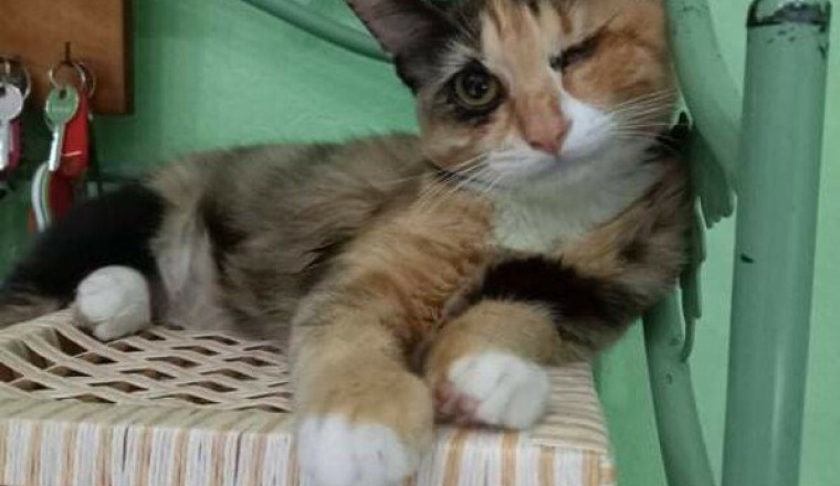 Sally petite borgne
