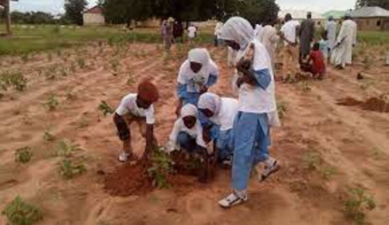 Growing up with your tree