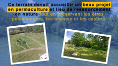 Image justificative de la cagnotte