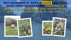 Image justificative de la cagnotte