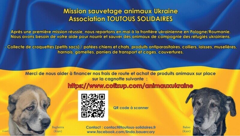 Sauvetage Animaux Ukraine Asso TOUTOUS SOLIDAIRES