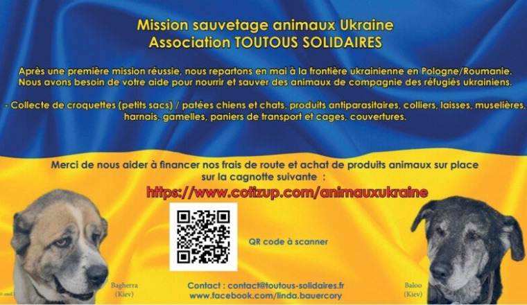 Sauvetage Animaux Ukraine Asso TOUTOUS SOLIDAIRES