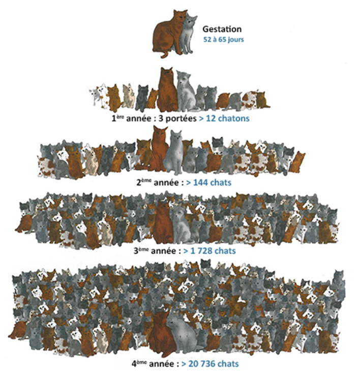 Image justificative de la cagnotte