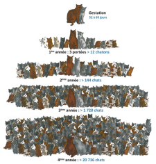 Image justificative de la cagnotte