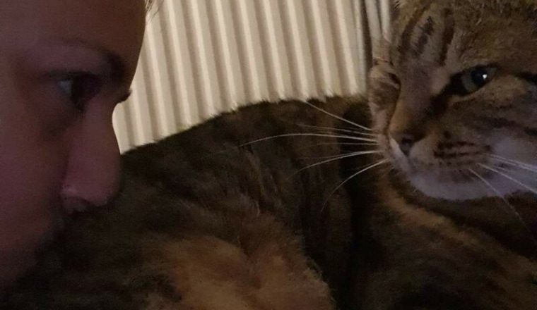 Joyeux anniversaire à moi 💜