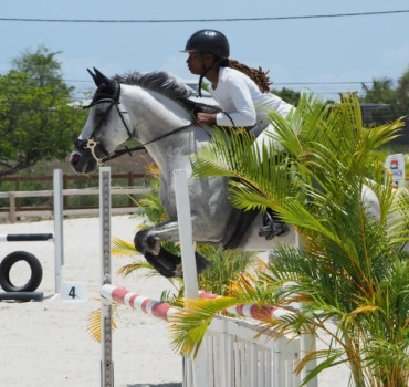 Championnat de France d'équitation