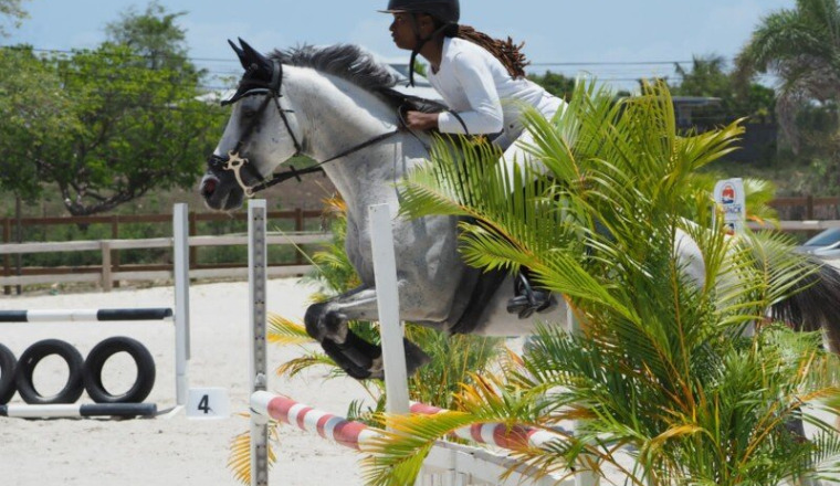 Championnat de France d'équitation