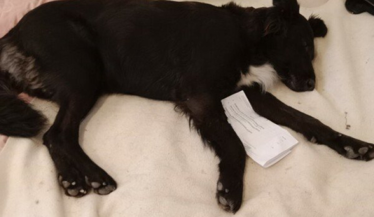 Pour Naika qui attend un scanner de toute urgence.