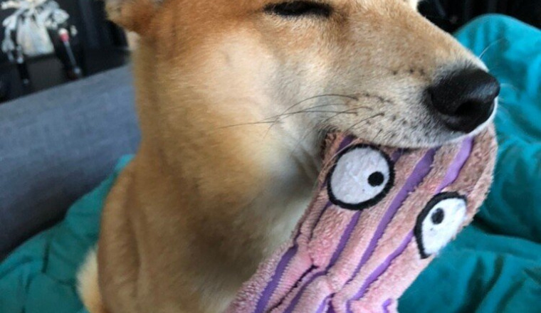 Pour que bébé Kthulhu soit bien soigné