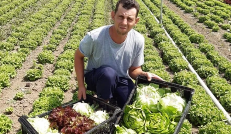 Soutien aux producteurs