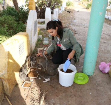 sauvetage des animaux de rue / facture veterinaire