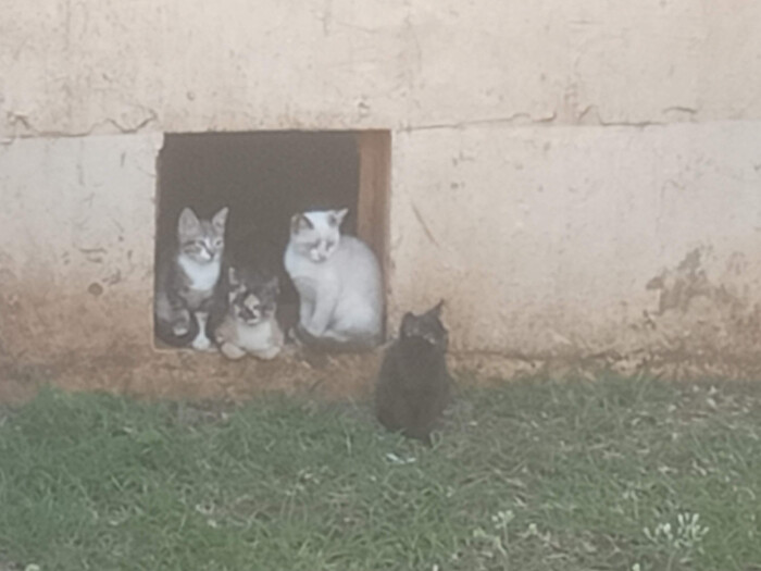 Image justificative de la cagnotte