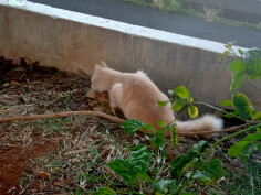 Image justificative de la cagnotte