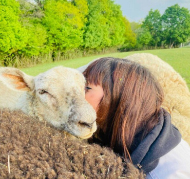Soins des Animaux