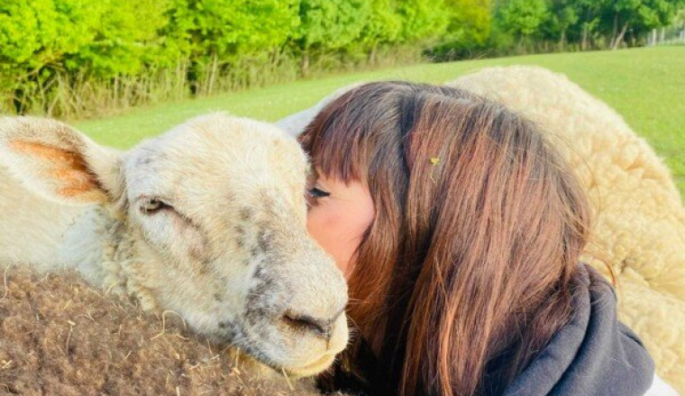 Soins des Animaux