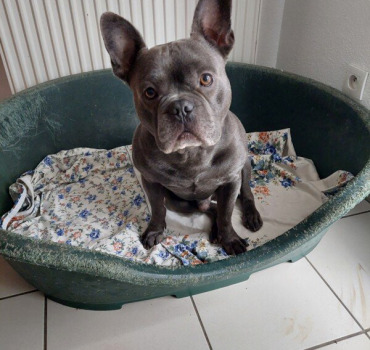 Aide pour Tyson