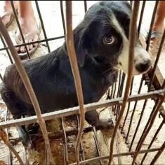 Image justificative de la cagnotte