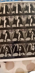 Fundraising proof image