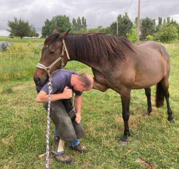 Gareth coming to Vucijak stud