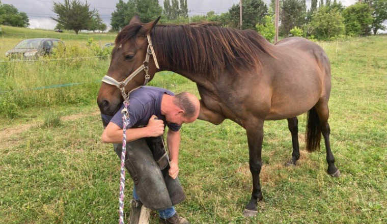 Gareth coming to Vucijak stud