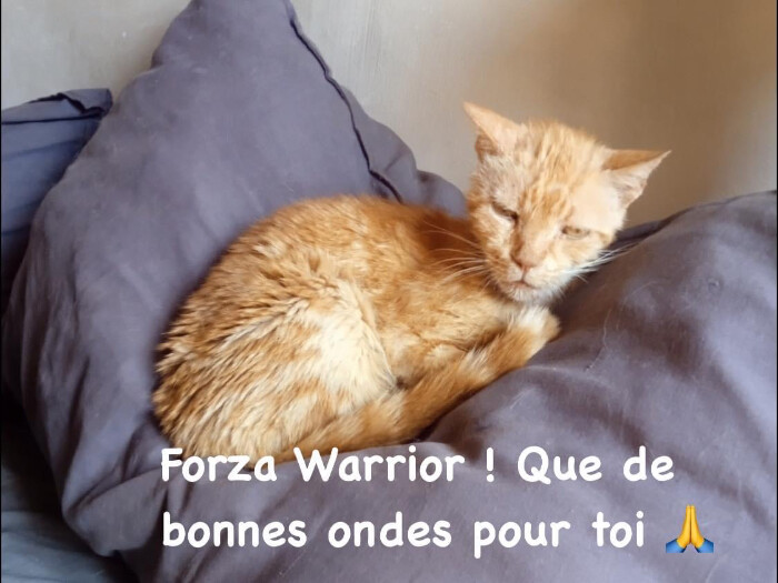 Image justificative de la cagnotte