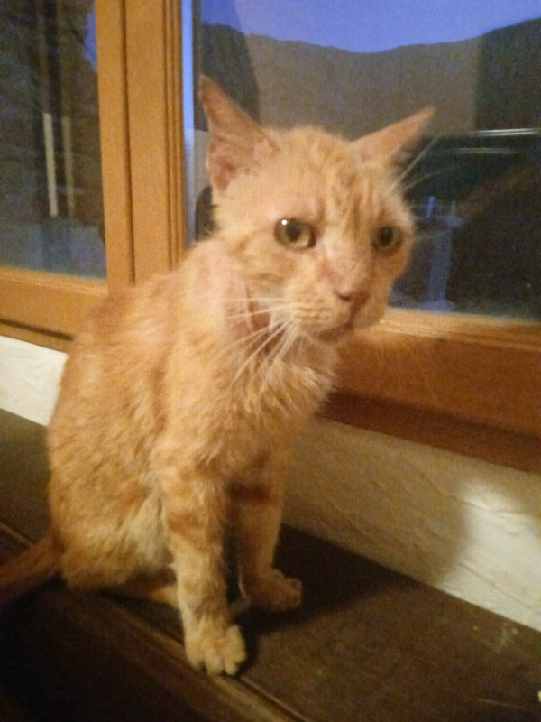 Image justificative de la cagnotte