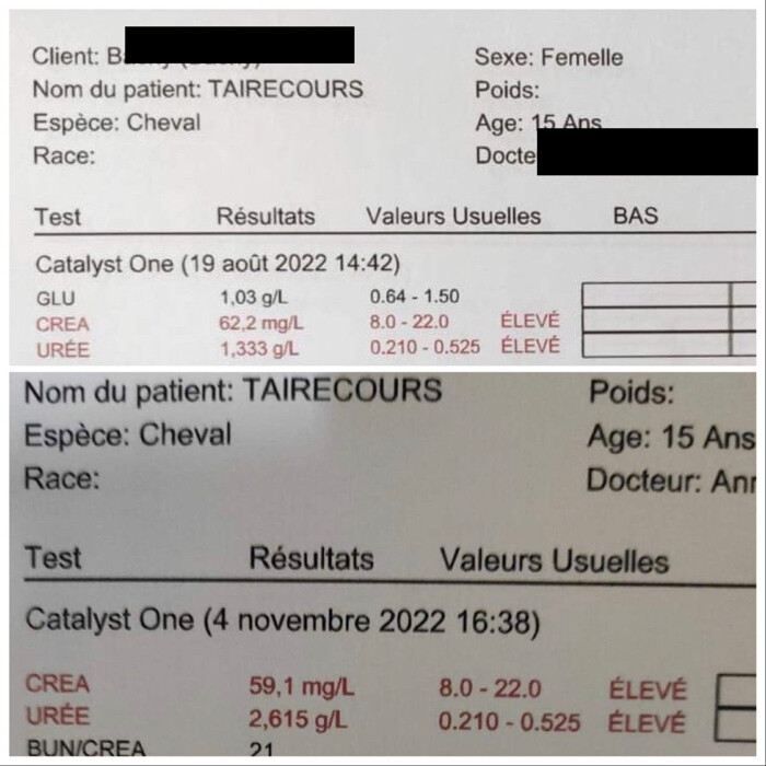 Image justificative de la cagnotte