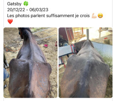 Image justificative de la cagnotte
