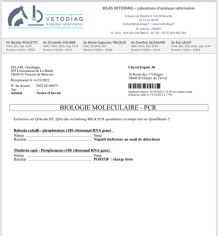 Image justificative de la cagnotte