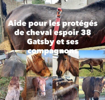 Aide à l’association Cheval Espoir 38